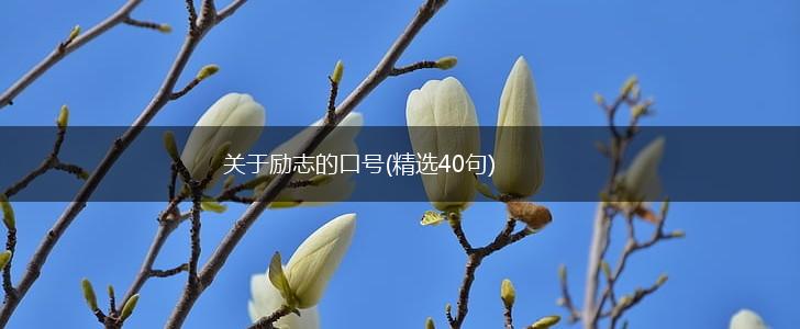 关于励志的口号(精选40句),第1张