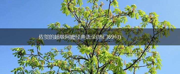 佐贺的超级阿嬷经典语录(热门69句),第1张