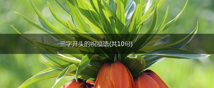 三字开头的祝福语(共10句),第1张