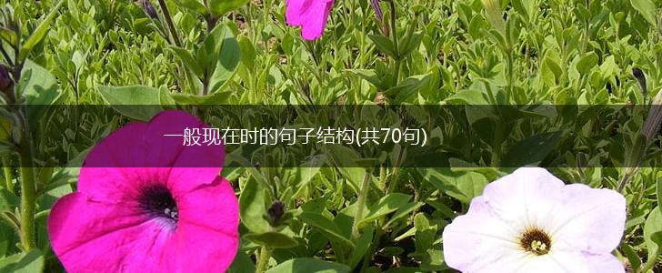 一般现在时的句子结构(共70句),第1张