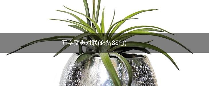 五字励志对联(必备88句),第1张