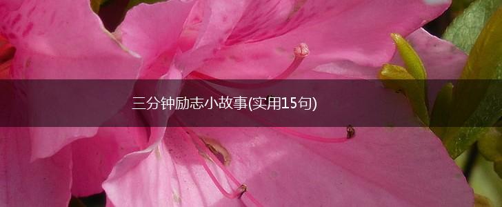三分钟励志小故事(实用15句),第1张