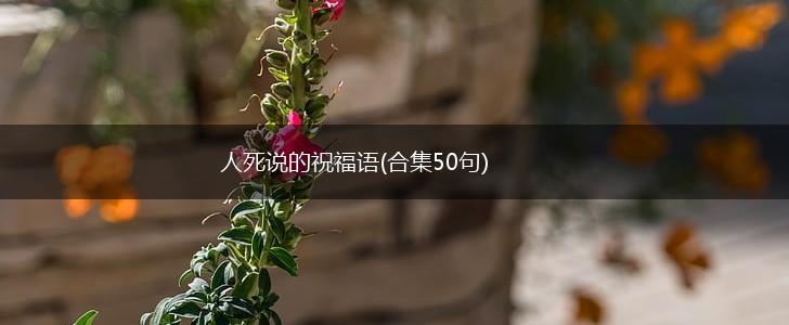 人死说的祝福语(合集50句),第1张