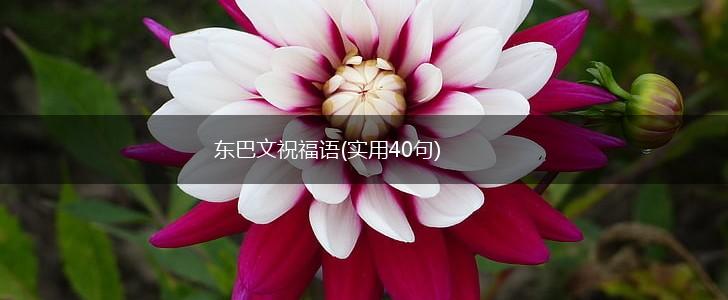 东巴文祝福语(实用40句),第1张