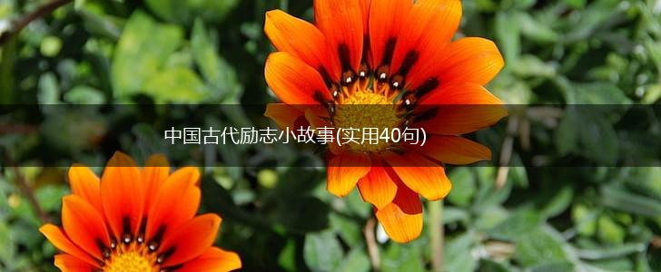 中国古代励志小故事(实用40句),第1张