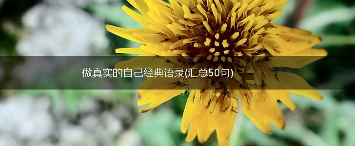 做真实的自己经典语录(汇总50句),第1张
