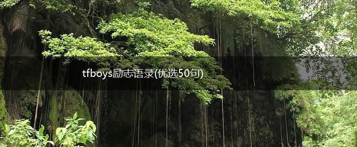 tfboys励志语录(优选50句),第1张