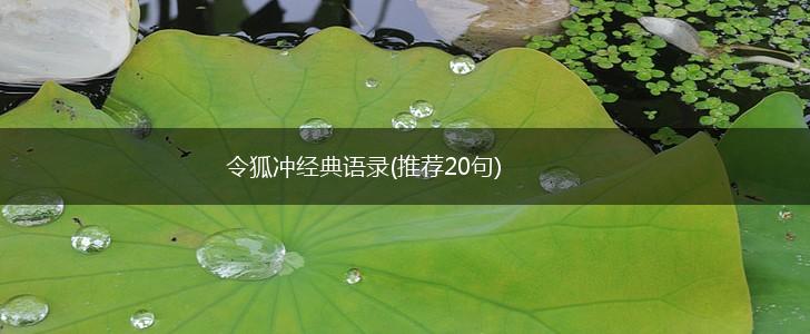 令狐冲经典语录(推荐20句),第1张