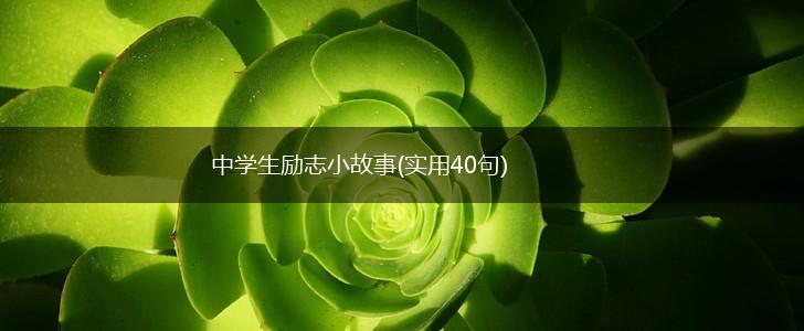 中学生励志小故事(实用40句),第1张