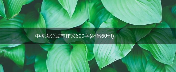 中考满分励志作文600字(必备60句),第1张