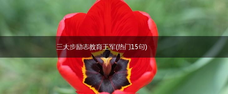 三大步励志教育王军(热门15句),第1张