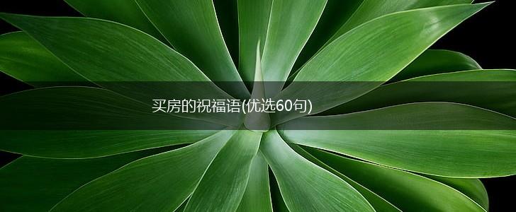 买房的祝福语(优选60句),第1张