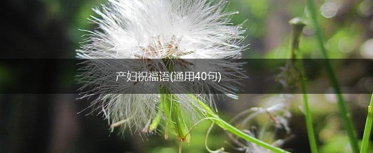 产妇祝福语(通用40句),第1张