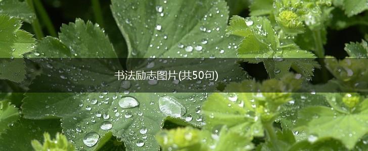 书法励志图片(共50句),第1张