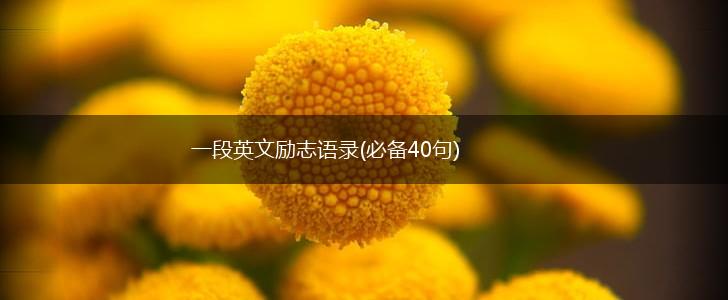 一段英文励志语录(必备40句),第1张