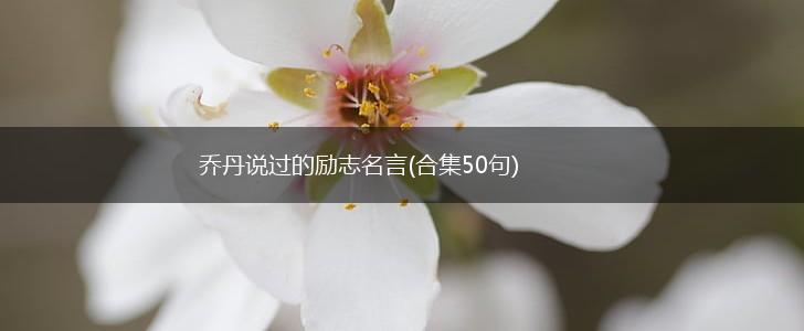 乔丹说过的励志名言(合集50句),第1张