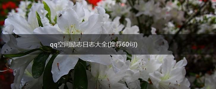 qq空间励志日志大全(推荐60句),第1张