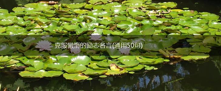 克服懒惰的励志名言(通用50句),第1张