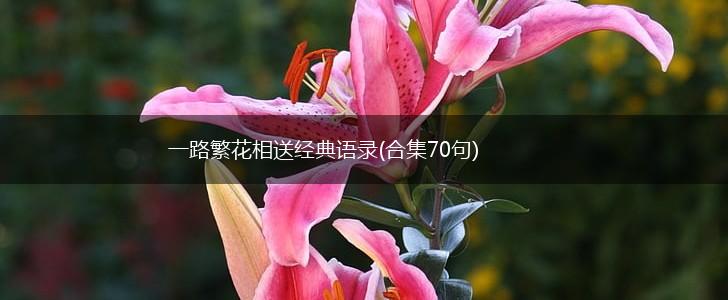 一路繁花相送经典语录(合集70句),第1张