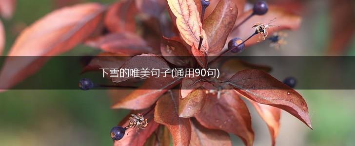 下雪的唯美句子(通用90句),第1张