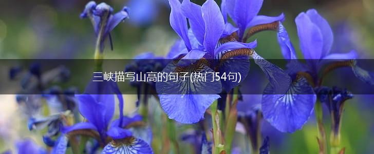 三峡描写山高的句子(热门54句),第1张