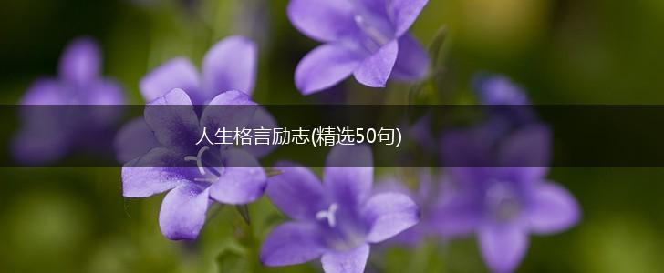 人生格言励志(精选50句),第1张