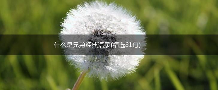 什么是兄弟经典语录(精选81句),第1张