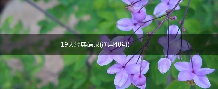 19天经典语录(通用40句),第1张