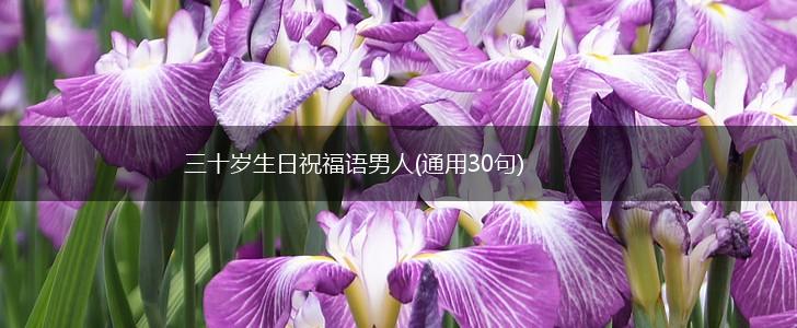 三十岁生日祝福语男人(通用30句),第1张