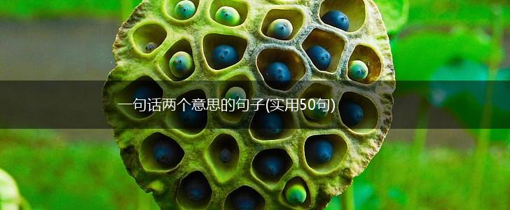 一句话两个意思的句子(实用50句),第1张