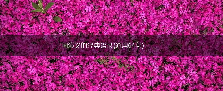 三国演义的经典语录(通用64句),第1张