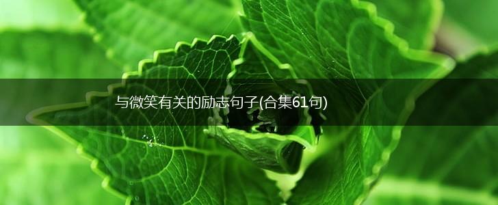 与微笑有关的励志句子(合集61句),第1张
