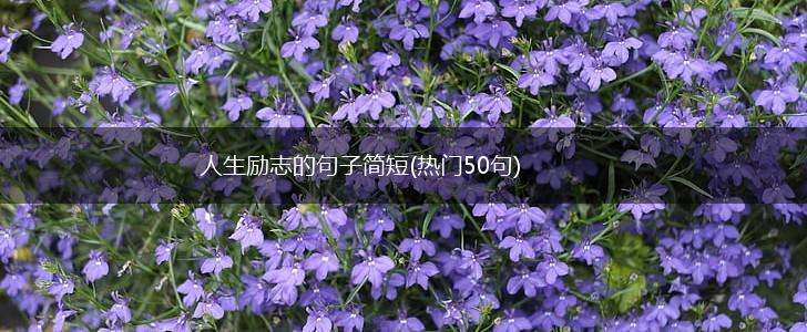 人生励志的句子简短(热门50句),第1张
