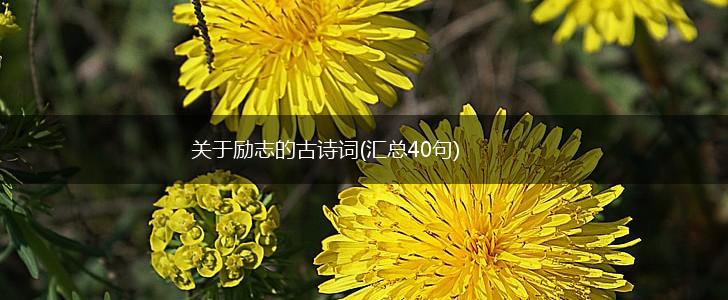关于励志的古诗词(汇总40句),第1张