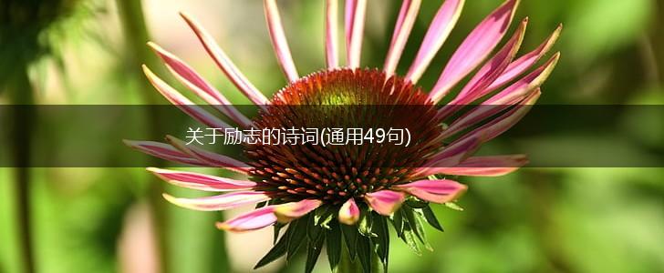 关于励志的诗词(通用49句),第1张