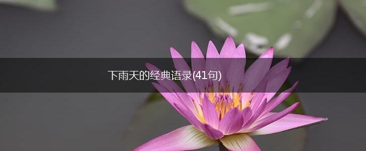 下雨天的经典语录(41句),第1张