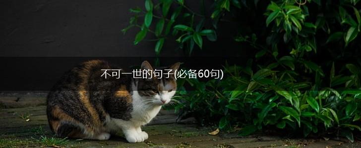 不可一世的句子(必备60句),第1张