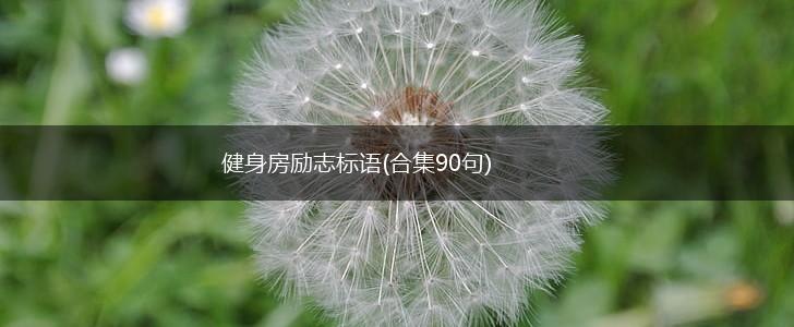 健身房励志标语(合集90句),第1张