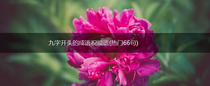 九字开头的成语祝福语(热门66句),第1张