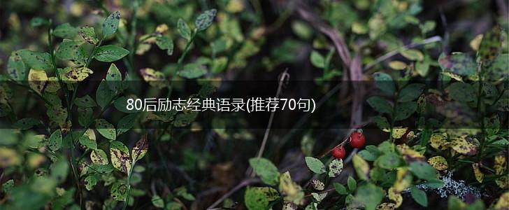 80后励志经典语录(推荐70句),第1张