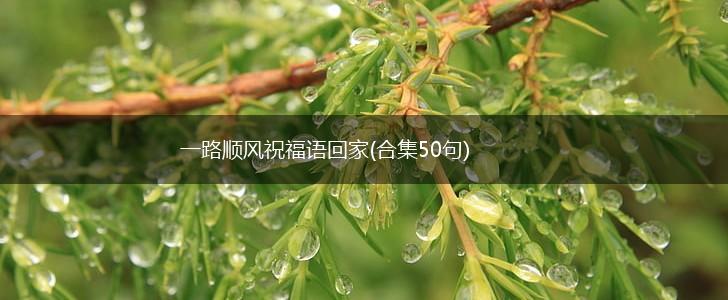 一路顺风祝福语回家(合集50句),第1张