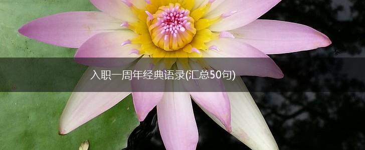 入职一周年经典语录(汇总50句),第1张