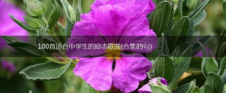 100首适合中学生的励志歌曲(合集89句),第1张