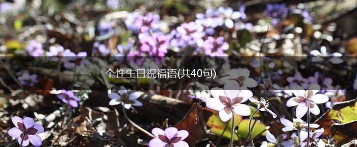 个性生日祝福语(共40句),第1张