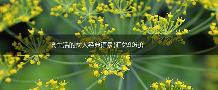 会生活的女人经典语录(汇总90句),第1张