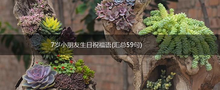 7岁小朋友生日祝福语(汇总59句),第1张