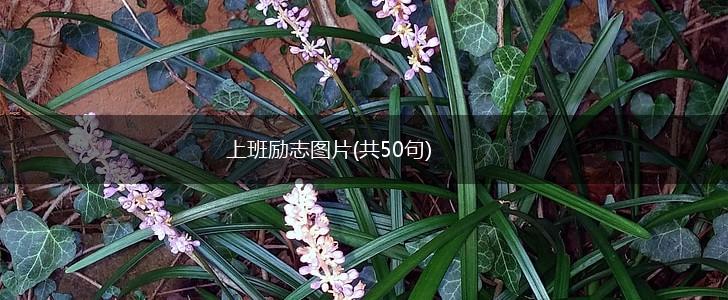 上班励志图片(共50句),第1张