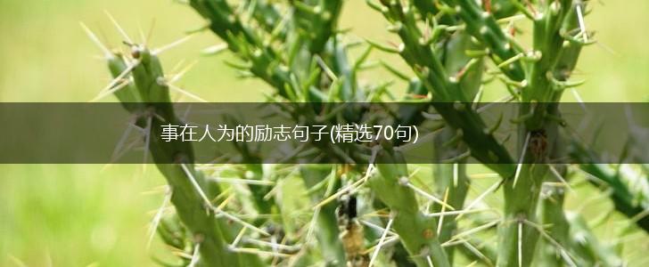 事在人为的励志句子(精选70句),第1张