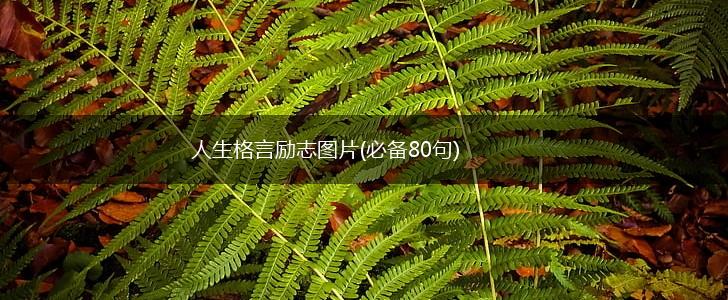 人生格言励志图片(必备80句),第1张