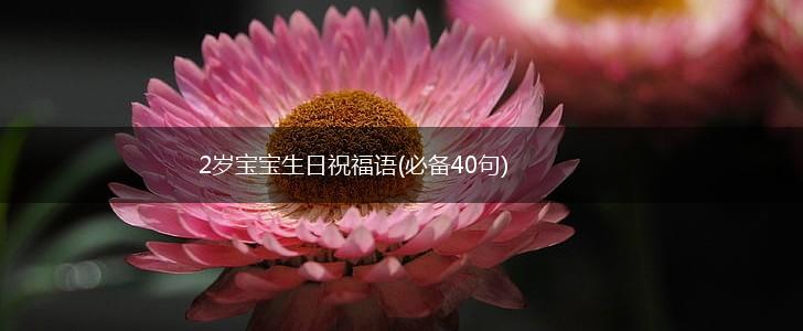 2岁宝宝生日祝福语(必备40句),第1张